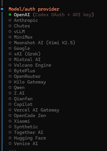选择模型服务并配置
